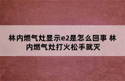 林内燃气灶显示e2是怎么回事 林内燃气灶打火松手就灭